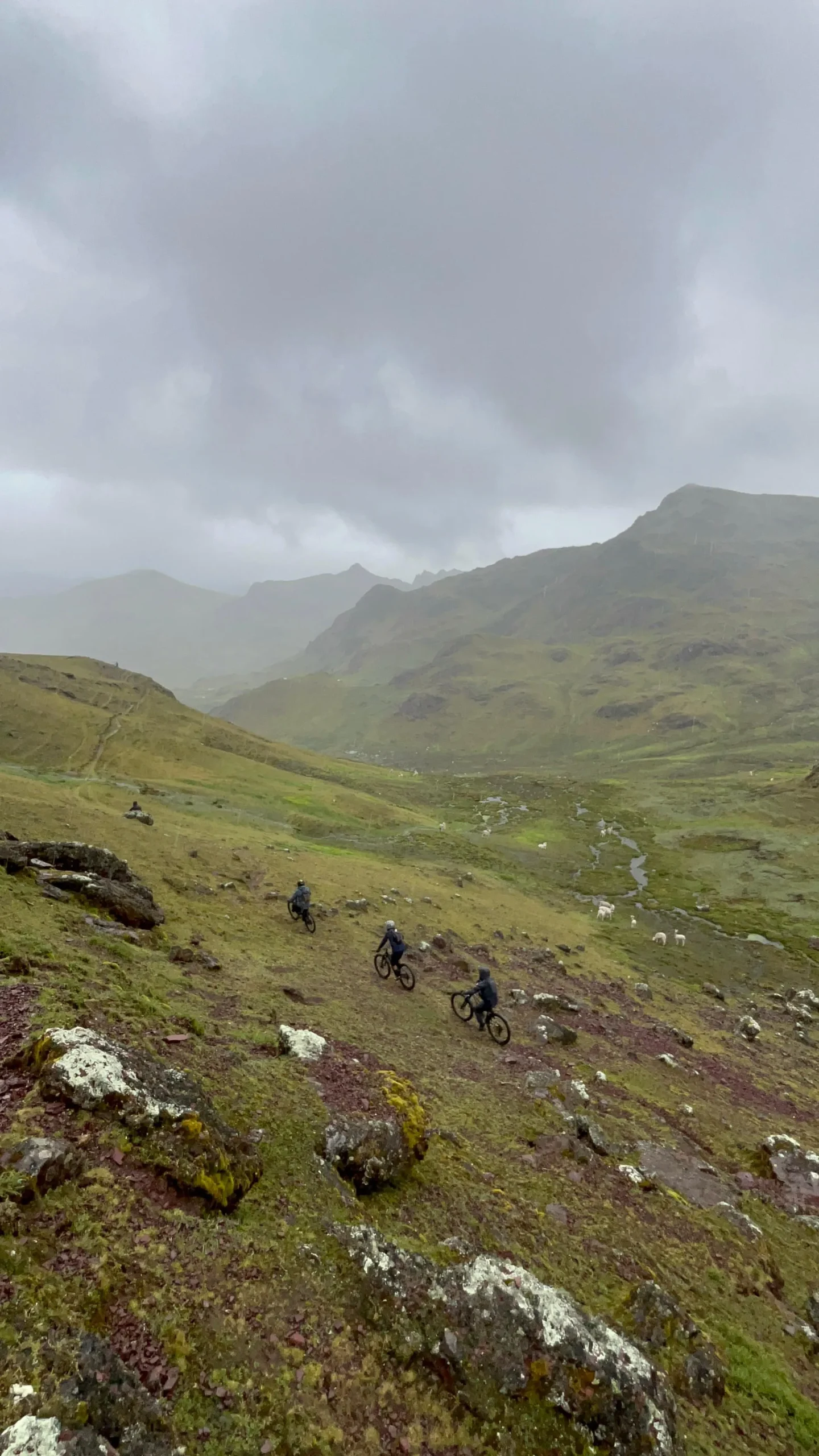 La Máxima Recargada - Imagen 2