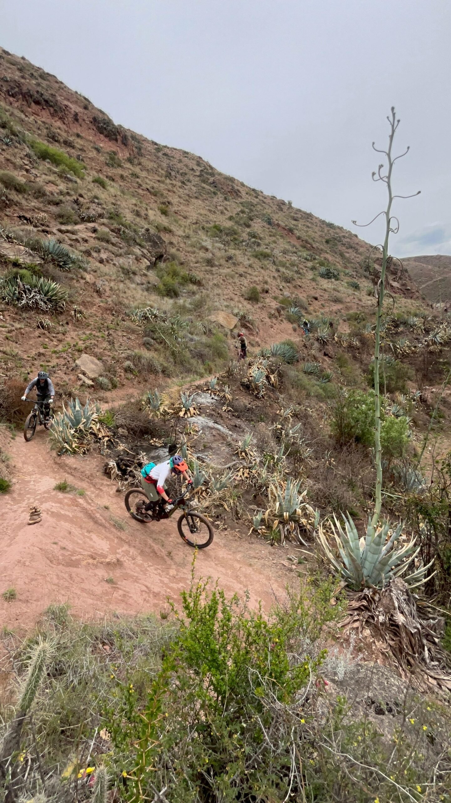 Maras Moray Biking - Imagen 5