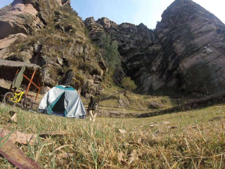 El Paseo en Bicicleta del Hombre de las Cavernas